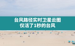 台风路径实时卫星云图(仅活了1秒的台风)