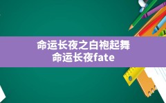 命运长夜之白袍起舞,命运长夜fate