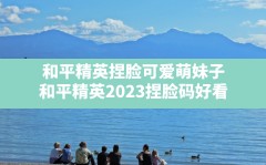 和平精英捏脸可爱萌妹子(和平精英2023捏脸码好看)