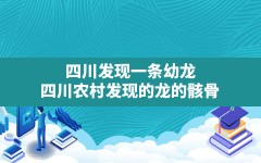 四川发现一条幼龙(四川农村发现的龙的骸骨)