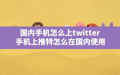 国内手机怎么上twitter,手机上推特怎么在国内使用