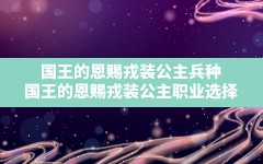 国王的恩赐戎装公主兵种,国王的恩赐戎装公主职业选择