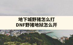 地下城野猪怎么打(DNF野猪地狱怎么开)