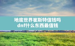 地底世界崔斯特值钱吗,dnf什么东西最值钱