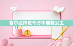 塞尔达传说千万不要救公主