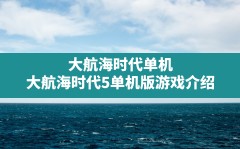 大航海时代单机(大航海时代5单机版游戏介绍)