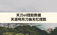 天刀ol捏脸数据,天涯明月刀曲无忆捏脸