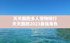 天天酷跑多人宠物排行,天天酷跑2023最强角色