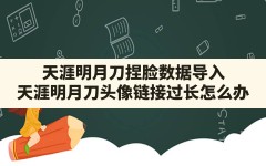 天涯明月刀捏脸数据导入,天涯明月刀头像链接过长怎么办