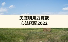 天涯明月刀真武心法搭配2022,心法选择顺序有什么讲究