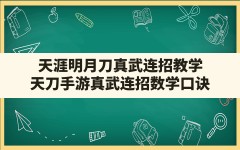 天涯明月刀真武连招教学(天刀手游真武连招数学口诀)