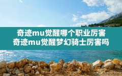 奇迹mu觉醒哪个职业厉害(奇迹mu觉醒梦幻骑士厉害吗)