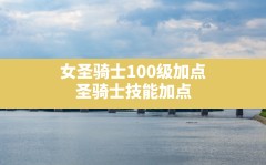 女圣骑士100级加点(圣骑士技能加点)