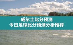 威尔士比分预测,今日足球比分预测分析推荐