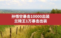 孙悟空暴击10000出装,兰陵王1万暴击出装