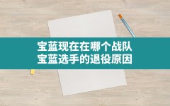 宝蓝现在在哪个战队(宝蓝选手的退役原因)