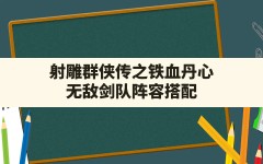 射雕群侠传之铁血丹心,无敌剑队阵容搭配