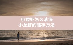 小龙虾怎么清洗,小龙虾的储存方法