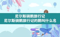 尼尔斯骑鹅旅行记,尼尔斯骑鹅旅行记的鹅叫什么名