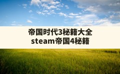 帝国时代3秘籍大全(steam帝国4秘籍)