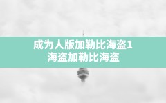 成为人版加勒比海盗1,海盗加勒比海盗