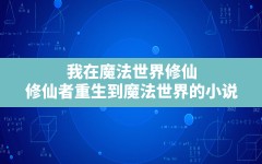 我在魔法世界修仙(修仙者重生到魔法世界的小说)