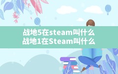 战地5在steam叫什么,战地1在Steam叫什么