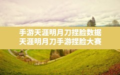 手游天涯明月刀捏脸数据,天涯明月刀手游捏脸大赛