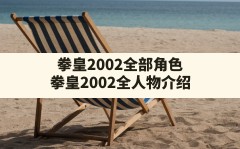 拳皇2002全部角色,拳皇2002全人物介绍