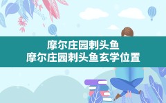 摩尔庄园刺头鱼,摩尔庄园刺头鱼玄学位置