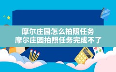 摩尔庄园怎么拍照任务,摩尔庄园拍照任务完成不了