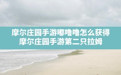 摩尔庄园手游嘟噜噜怎么获得,摩尔庄园手游第二只拉姆