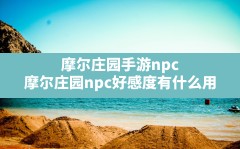 摩尔庄园手游npc(摩尔庄园npc好感度有什么用)