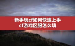 新手玩cf如何快速上手,cf游戏区服怎么填