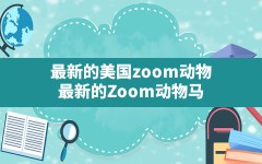 最新的美国zoom动物,最新的Zoom动物马