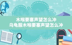 木喉要塞声望怎么冲(乌龟服木喉要塞声望怎么冲)