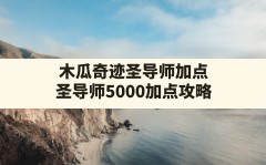 木瓜奇迹圣导师加点(圣导师5000加点攻略)