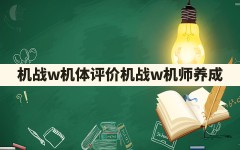 机战w机体评价(机战w机师养成)