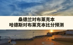 桑德兰对布莱克本(哈德斯对布莱克本比分预测)