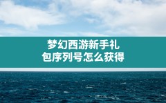 梦幻西游新手礼包序列号怎么获得(梦幻官方论坛新手礼包领取)