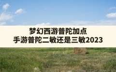 梦幻西游普陀加点(手游普陀二敏还是三敏2023)