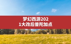 梦幻西游2021大改后普陀加点(最新改版后普陀山加点)