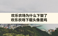 欢乐农场为什么下架了(欢乐农场下载头像是鸡)