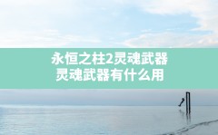 永恒之柱2灵魂武器,灵魂武器有什么用