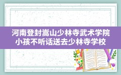 河南登封嵩山少林寺武术学院,小孩不听话送去少林寺学校