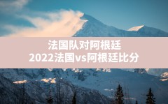 法国队对阿根廷(2022法国vs阿根廷比分)