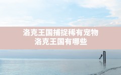 洛克王国捕捉稀有宠物(洛克王国有哪些稀有宠物可以捕捉)