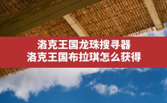 洛克王国龙珠搜寻器,洛克王国布拉琪怎么获得