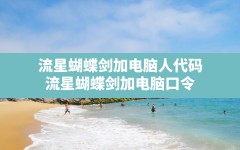 流星蝴蝶剑加电脑人代码,流星蝴蝶剑加电脑口令