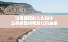 流星蝴蝶剑加血指令(流星蝴蝶剑秘籍代码血量)